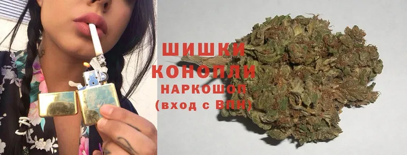 купить наркотики сайты  OMG вход  МАРИХУАНА SATIVA & INDICA  Тейково 